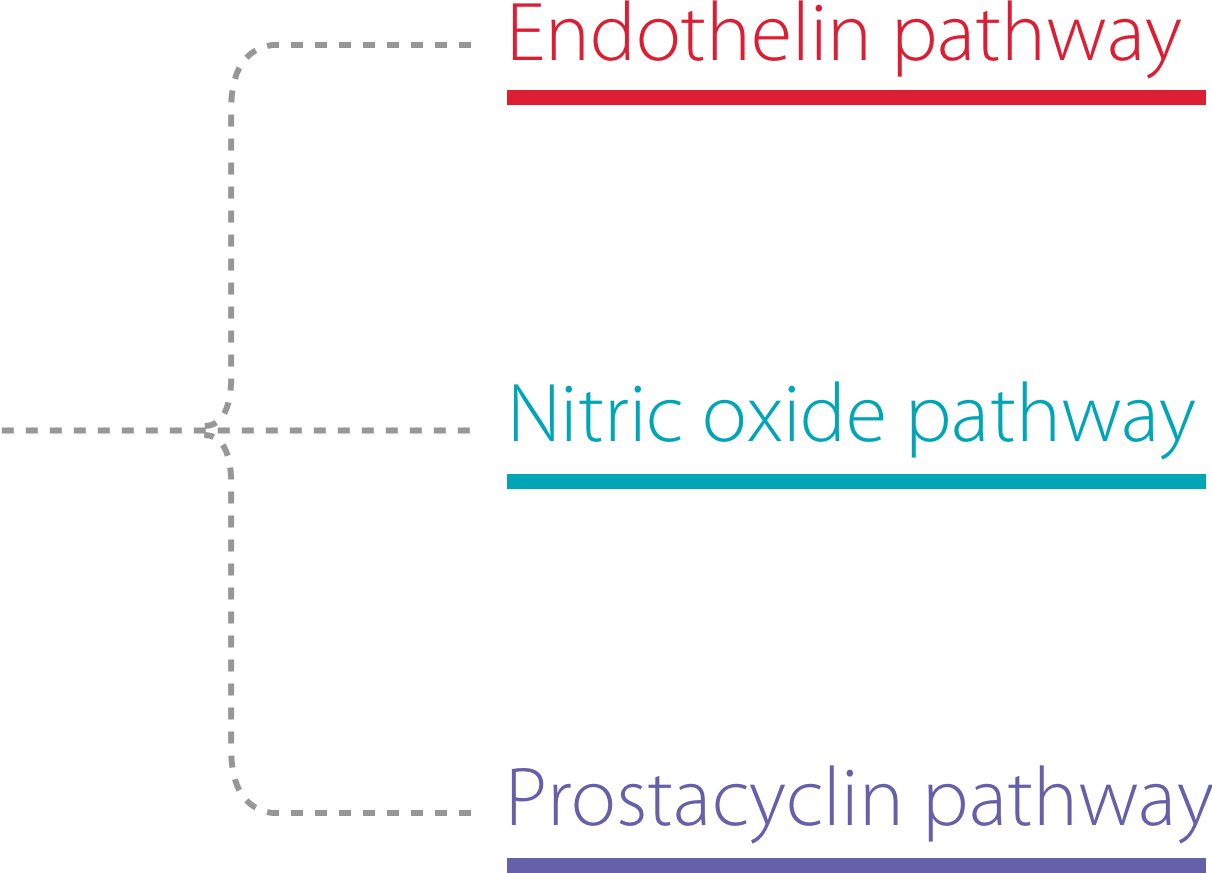 pah-treatment-pathways