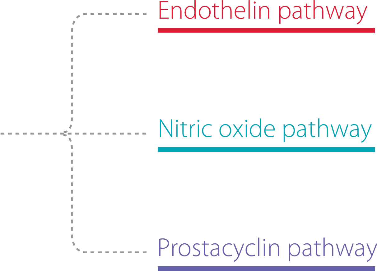 pah-treatment-pathways